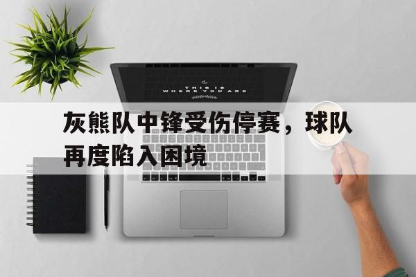 灰熊队中锋受伤停赛，球队再度陷入困境